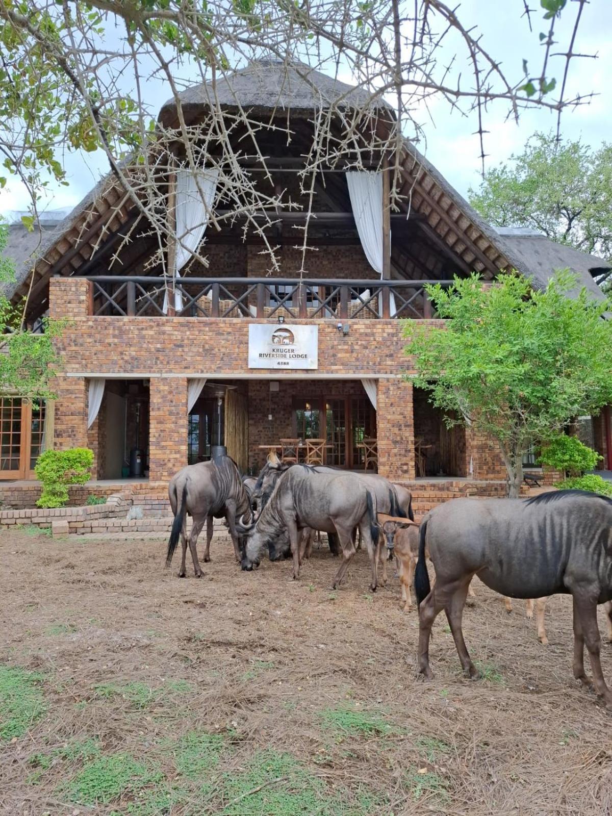 Kruger Riverside Lodge - No Load-Shedding Марлот-Парк Экстерьер фото