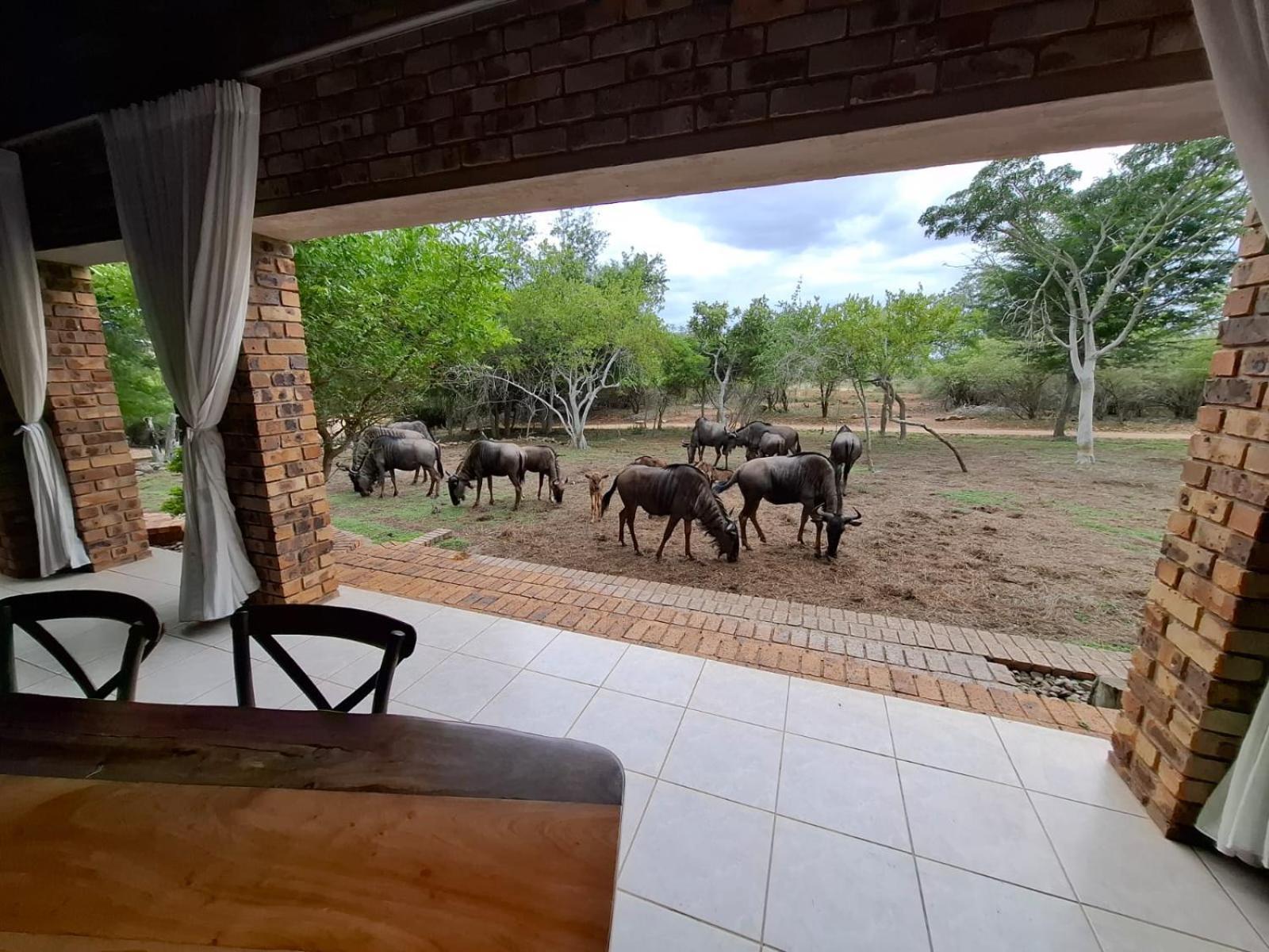 Kruger Riverside Lodge - No Load-Shedding Марлот-Парк Экстерьер фото
