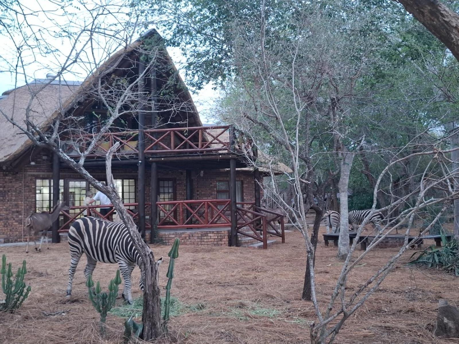 Kruger Riverside Lodge - No Load-Shedding Марлот-Парк Экстерьер фото