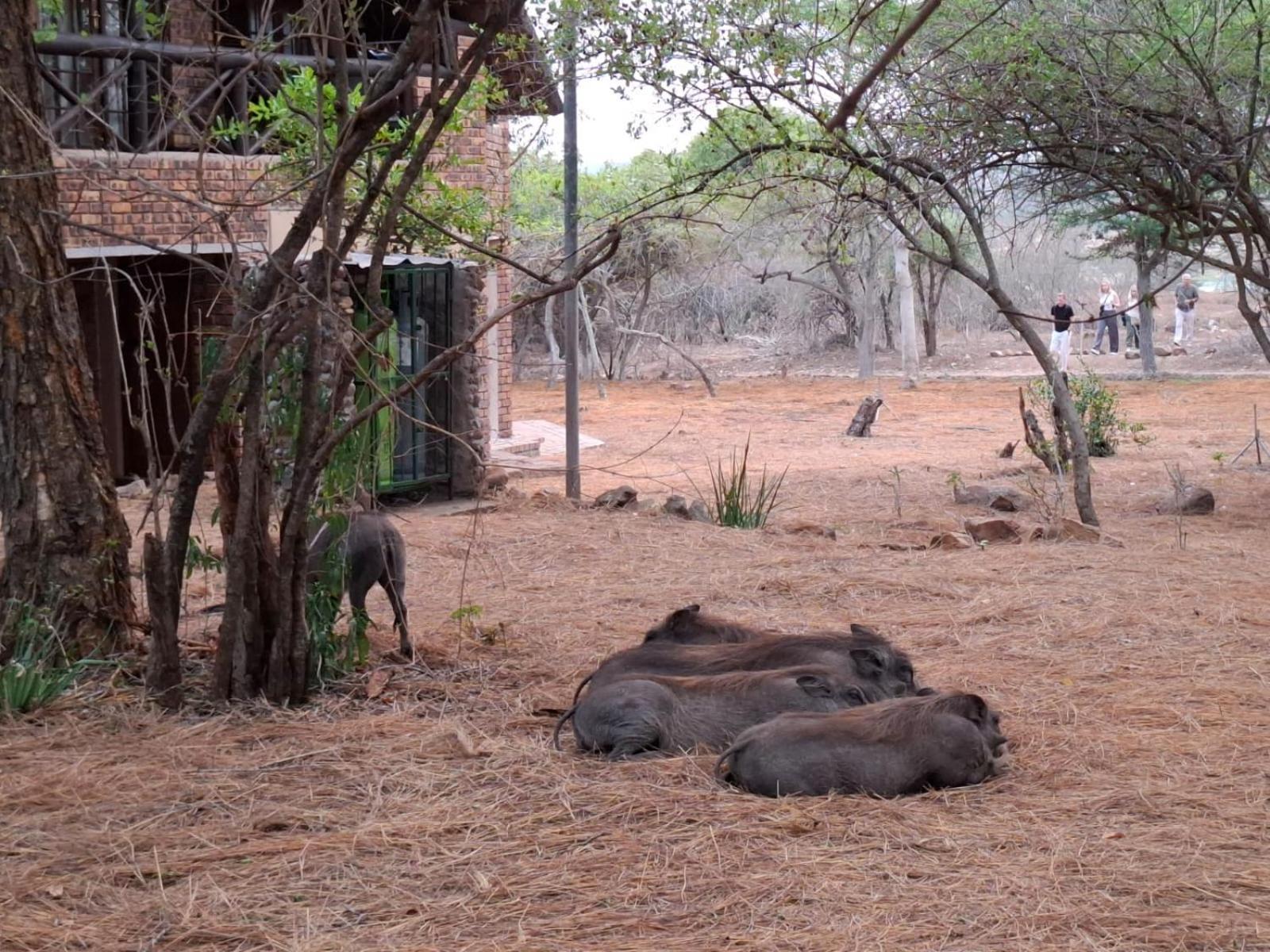 Kruger Riverside Lodge - No Load-Shedding Марлот-Парк Экстерьер фото
