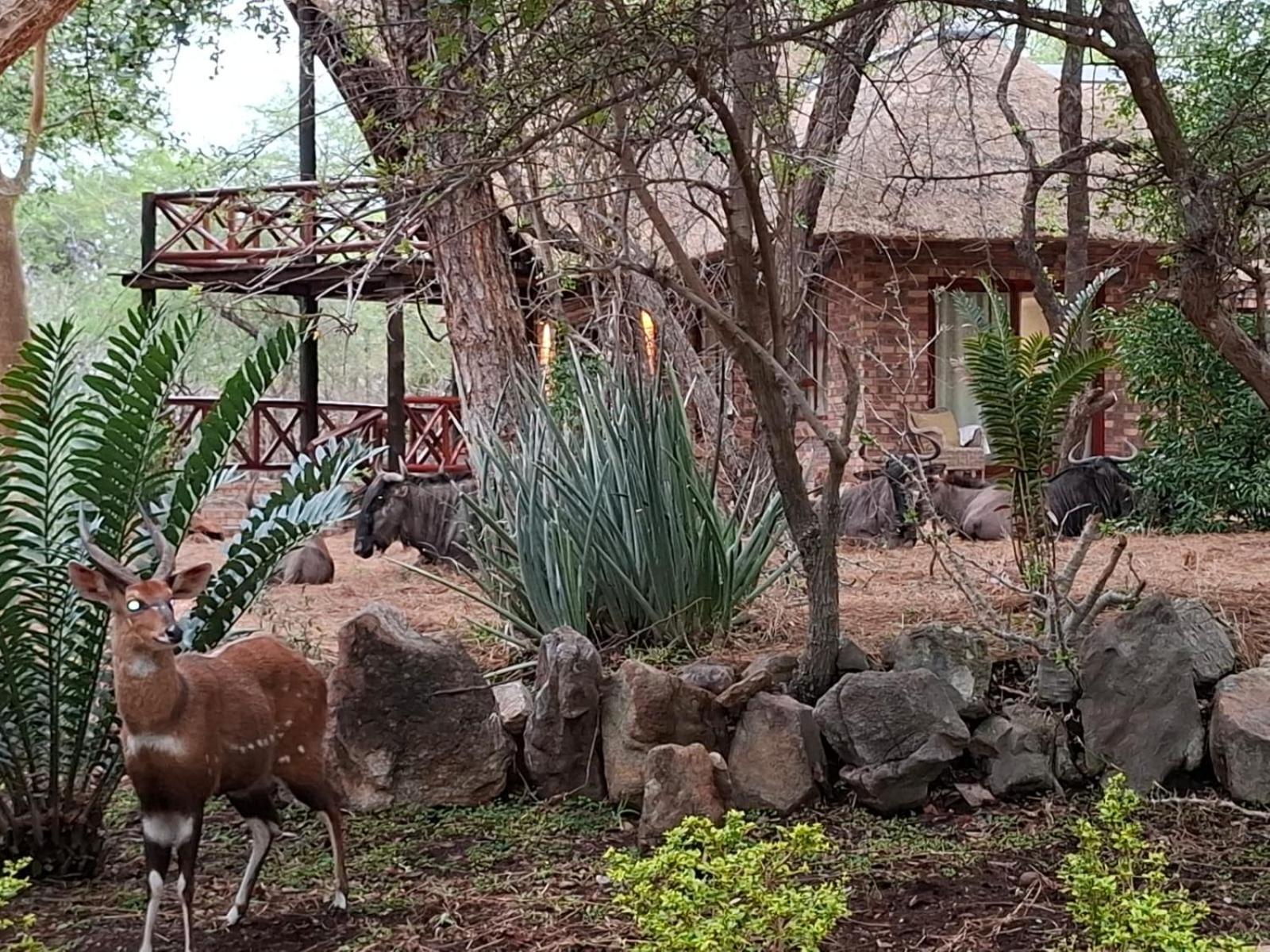 Kruger Riverside Lodge - No Load-Shedding Марлот-Парк Экстерьер фото